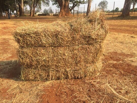 Hay Bales For Sale [Nyabira]