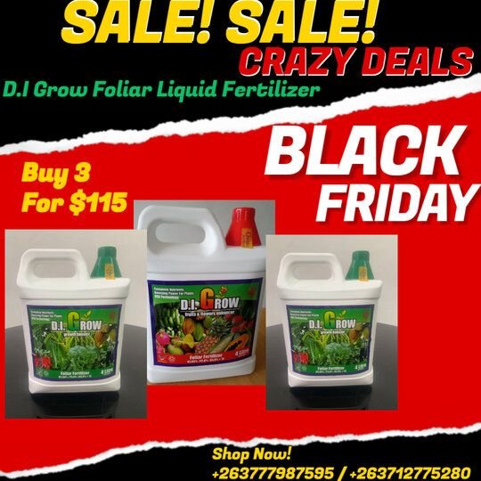 BLACK FRIDAY SPECIALS