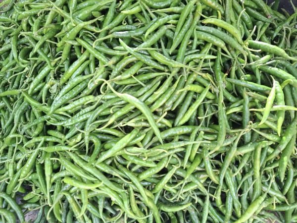 Fresh chilli for sale