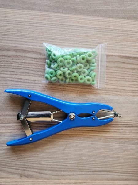 Castrating Rings & Applicators