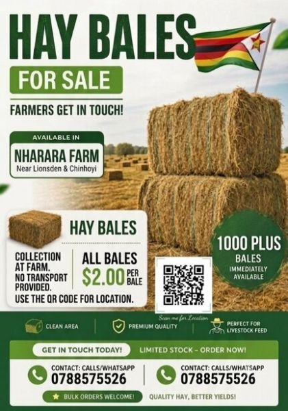 Hay bales for sale