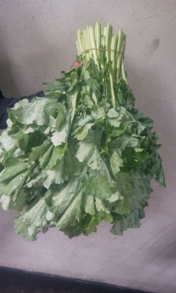Rape vegetables for sale