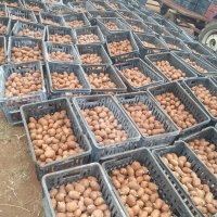 KGS Farming